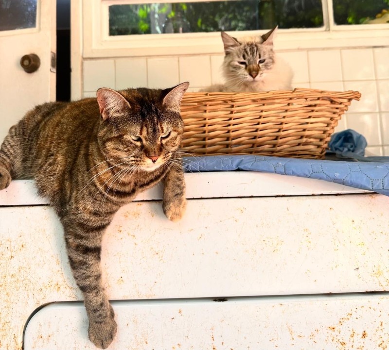 purujit1912 uploaded   272  day/s  ago