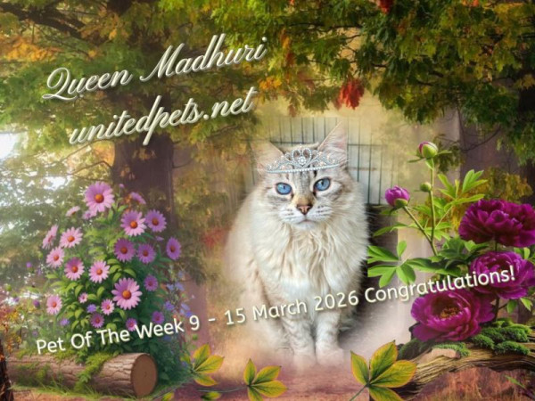 purujit1912 uploaded   36  day/s  ago