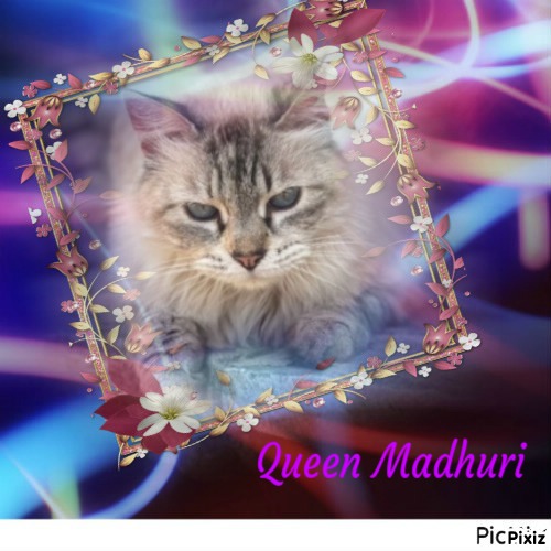 purujit1912 uploaded   33  day/s  ago