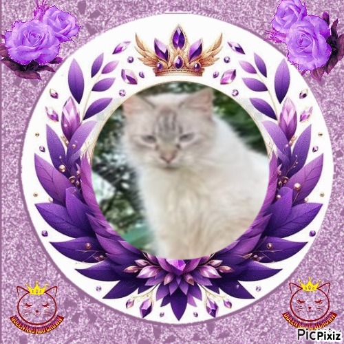 purujit1912 uploaded   43  day/s  ago