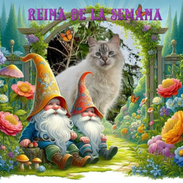 purujit1912 uploaded   33  day/s  ago