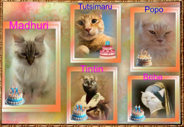 Madhuri of the purujit1912 family