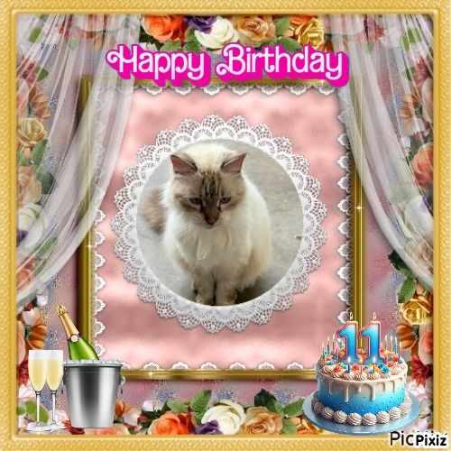 Madhuri of the purujit1912 family