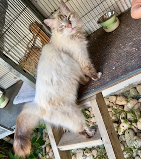 purujit1912 uploaded   1 year/s ago