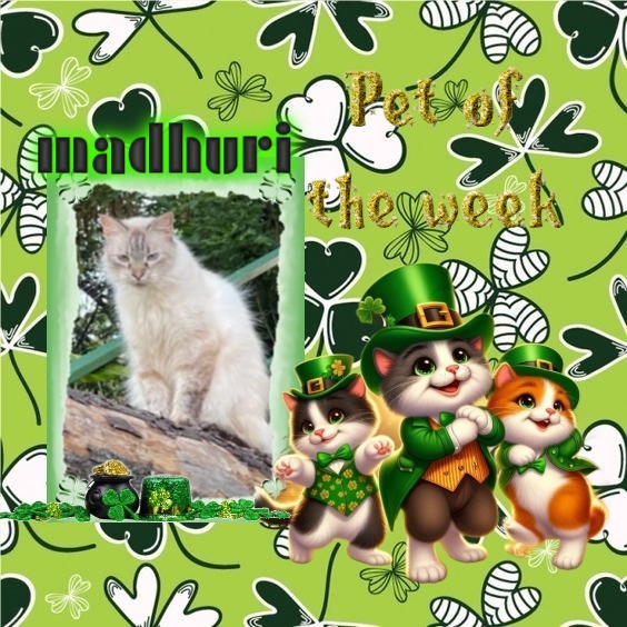 Madhuri of the purujit1912 family