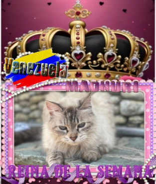 purujit1912 uploaded   43  day/s  ago