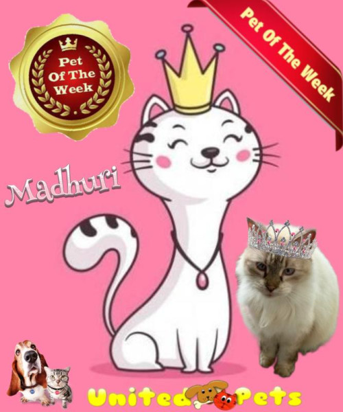 purujit1912 uploaded   33  day/s  ago