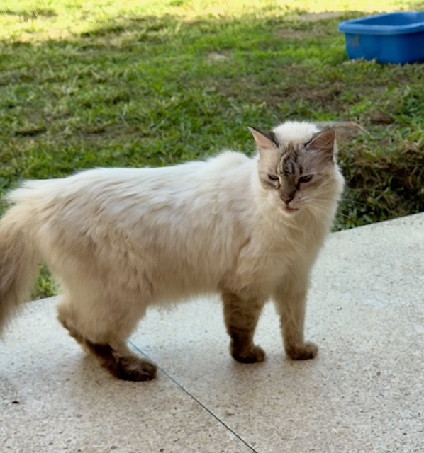 purujit1912 uploaded   317  day/s  ago