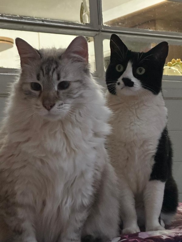 Madhuri of the purujit1912 family