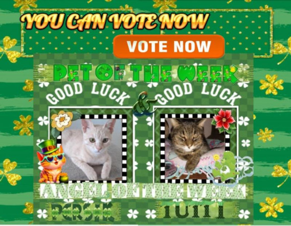 Madhuri of the purujit1912 family