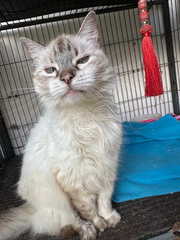 purujit1912 uploaded   1  day/s  ago