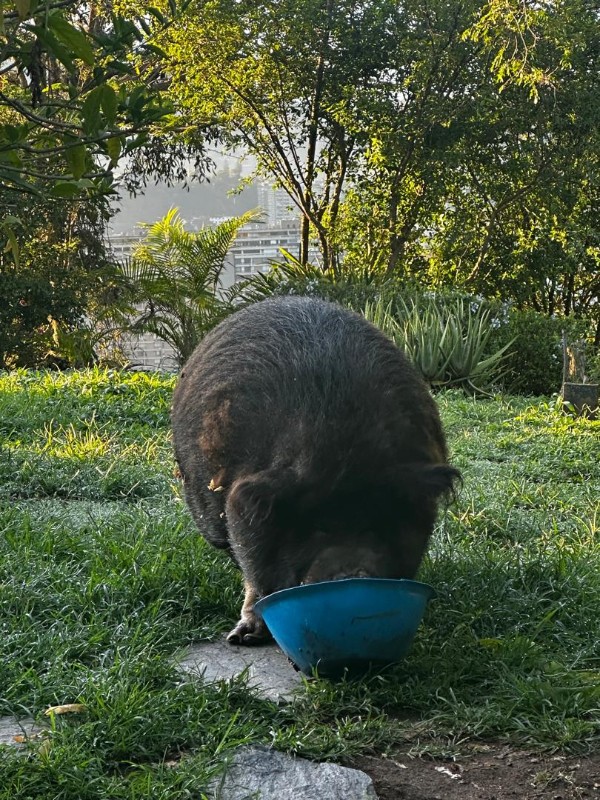 purujit1912 uploaded   184  day/s  ago