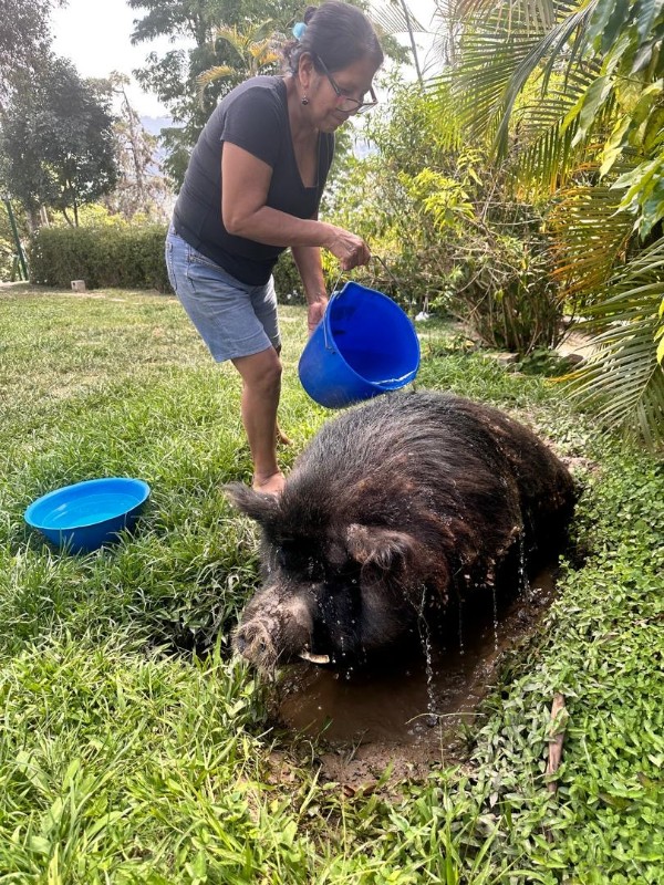 purujit1912 uploaded   232  day/s  ago