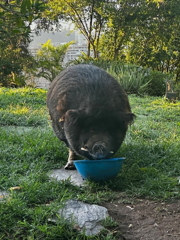 purujit1912 uploaded   184  day/s  ago