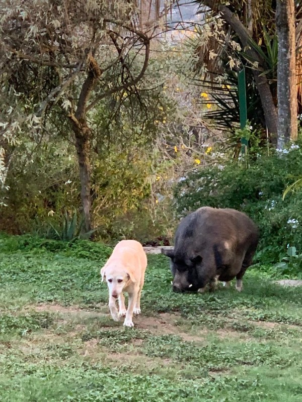 purujit1912 uploaded   2  day/s  ago