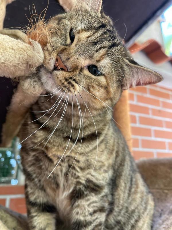 purujit1912 uploaded   2 year/s ago