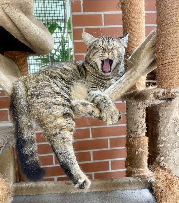 purujit1912 uploaded   1 year/s ago