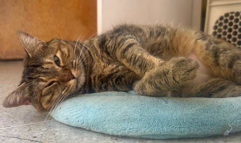 Namaste of the purujit1912 family