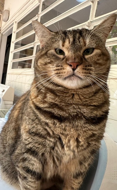 Namaste of the purujit1912 family