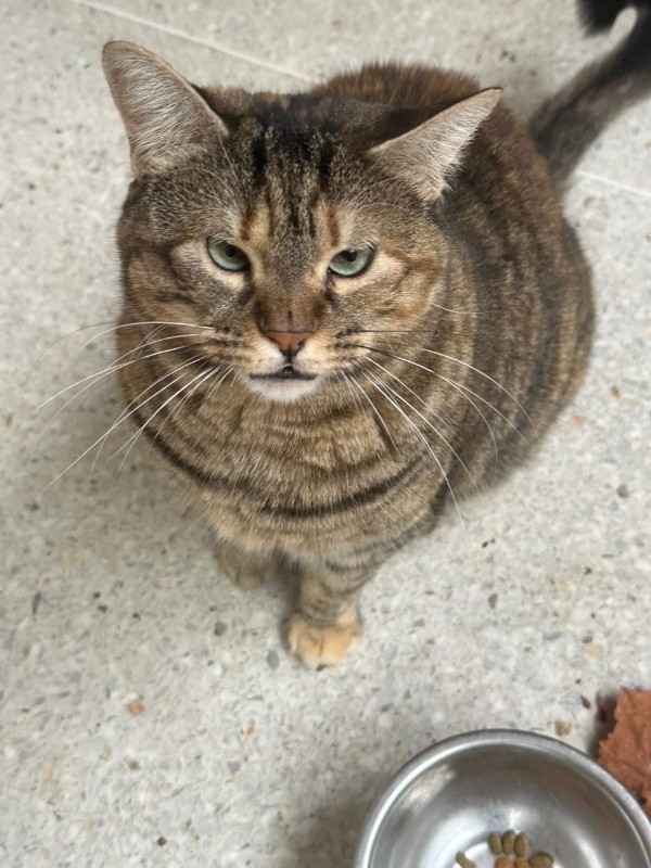 Namaste of the purujit1912 family