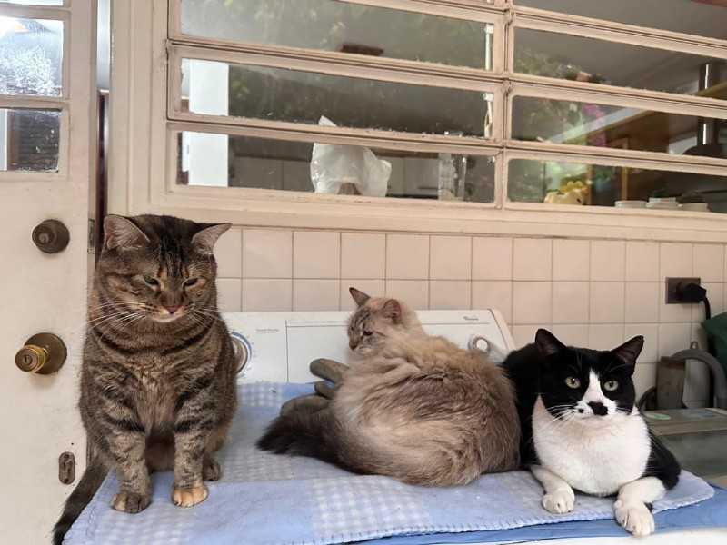 purujit1912 uploaded   1 year/s ago