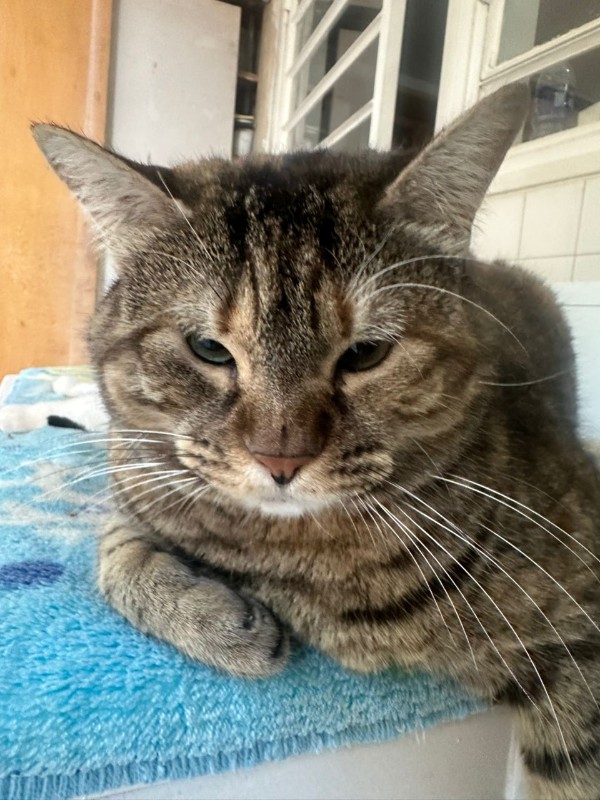 Namaste of the purujit1912 family