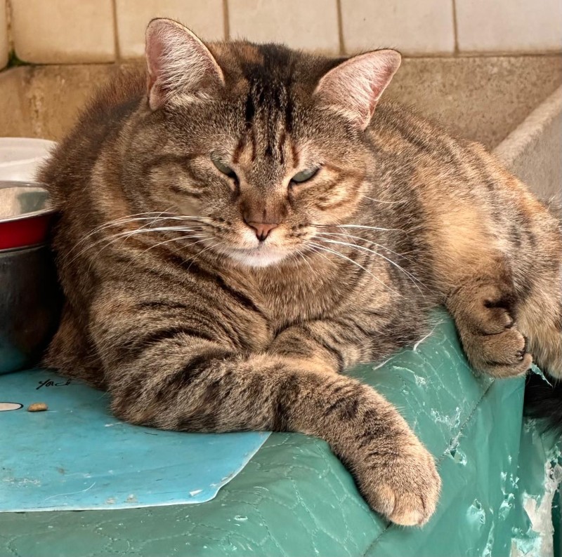 purujit1912 uploaded   1 year/s ago