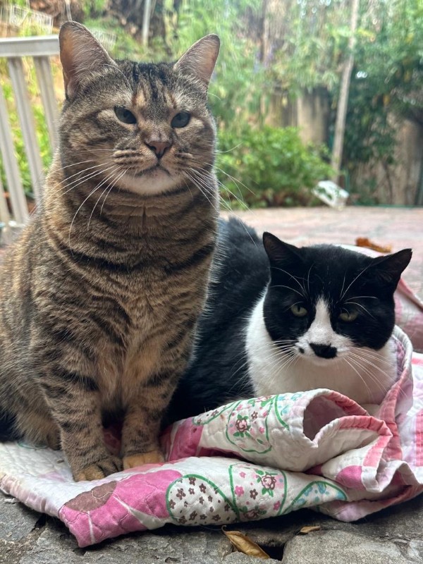 Namaste of the purujit1912 family