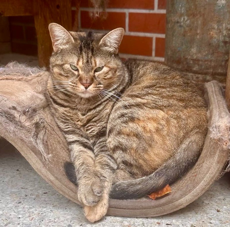 purujit1912 uploaded   1 year/s ago