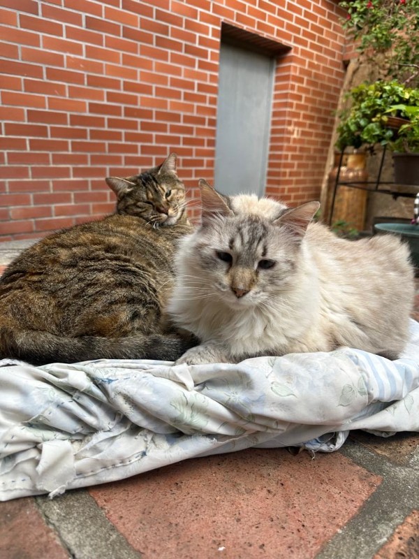 Namaste of the purujit1912 family