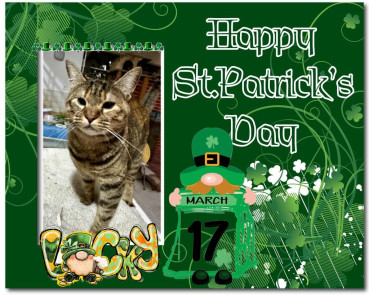 Namaste of the purujit1912 family