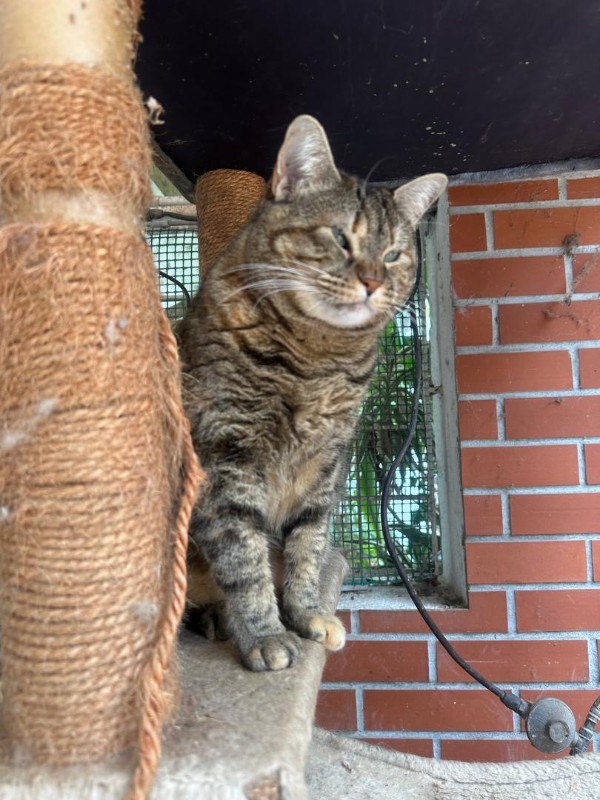 Namaste of the purujit1912 family