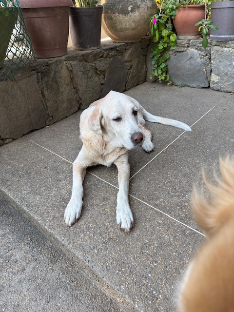 purujit1912 uploaded   1 year/s ago