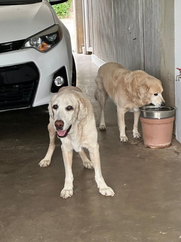 purujit1912 uploaded   8  day/s  ago