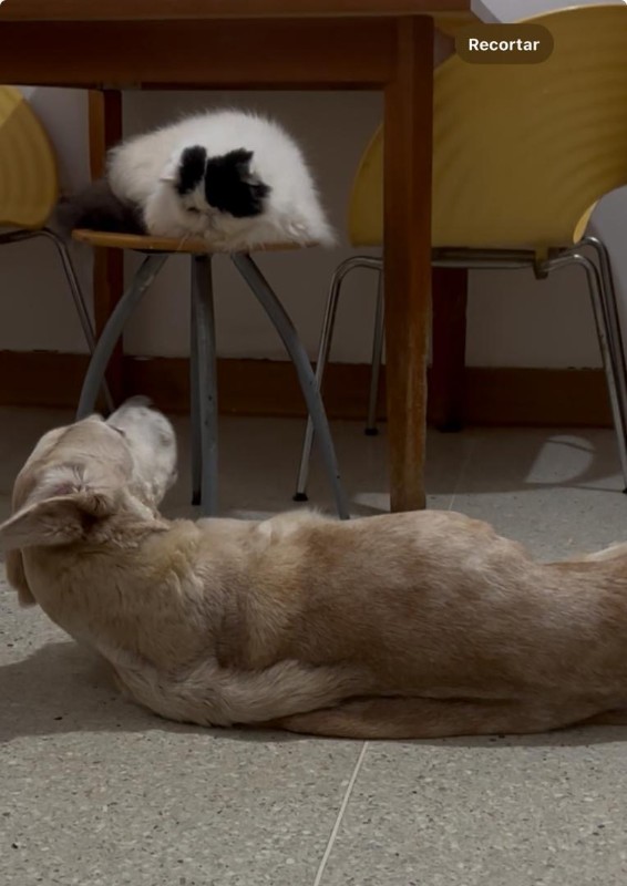 purujit1912 uploaded   305  day/s  ago