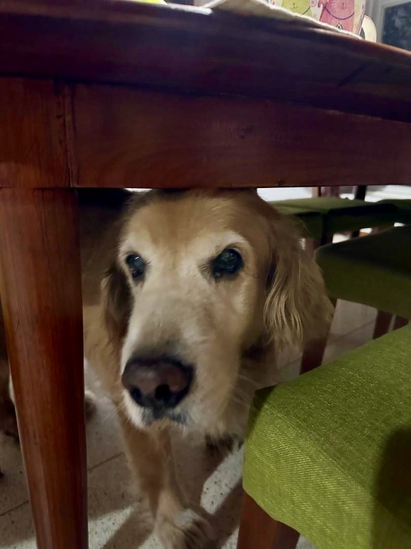 purujit1912 uploaded   1 year/s ago