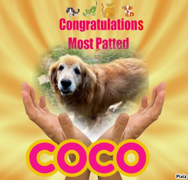 Coco of the purujit1912 family