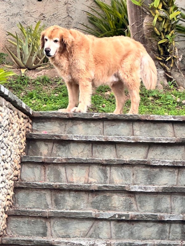 purujit1912 uploaded   293  day/s  ago