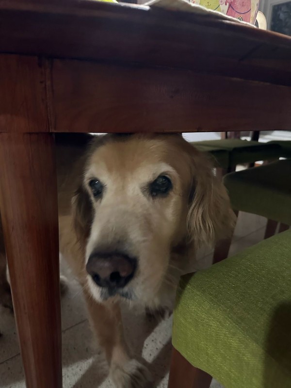 purujit1912 uploaded   1 year/s ago