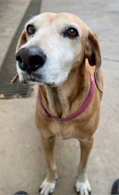 purujit1912 uploaded   1 year/s ago