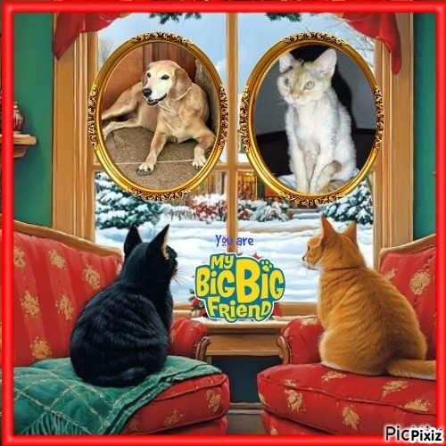 Chocolate of the purujit1912 family