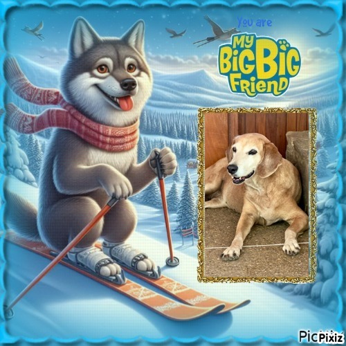 Chocolate of the purujit1912 family