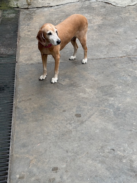 purujit1912 uploaded   1 year/s ago