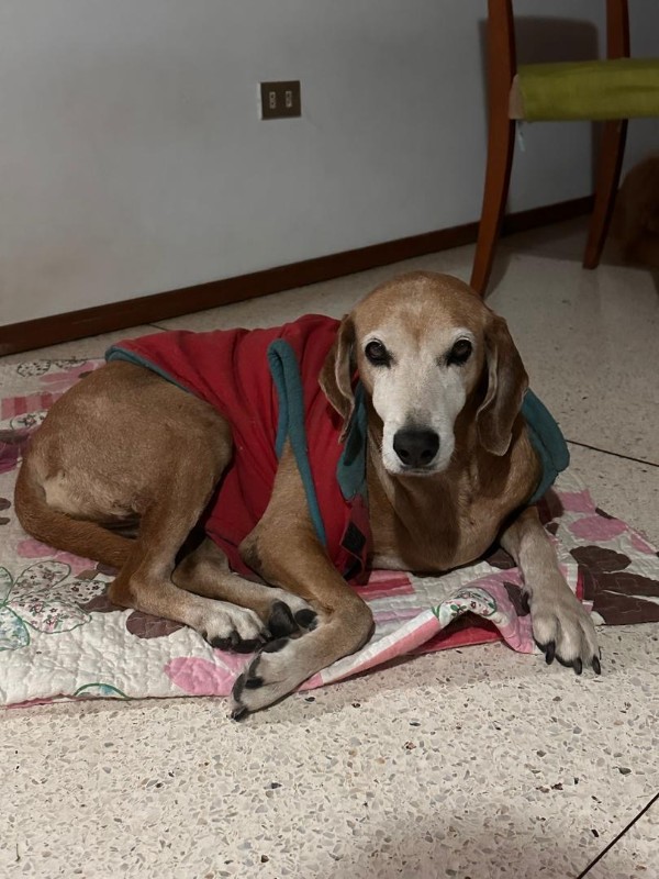 purujit1912 uploaded   1 year/s ago