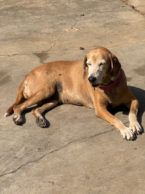 purujit1912 uploaded   1 year/s ago