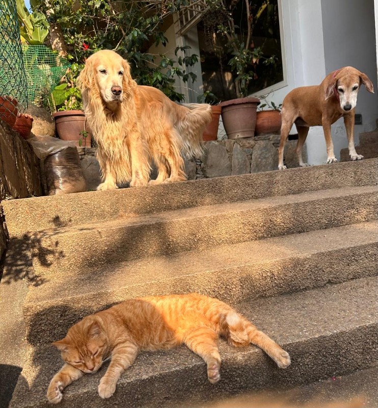 purujit1912 uploaded   1 year/s ago