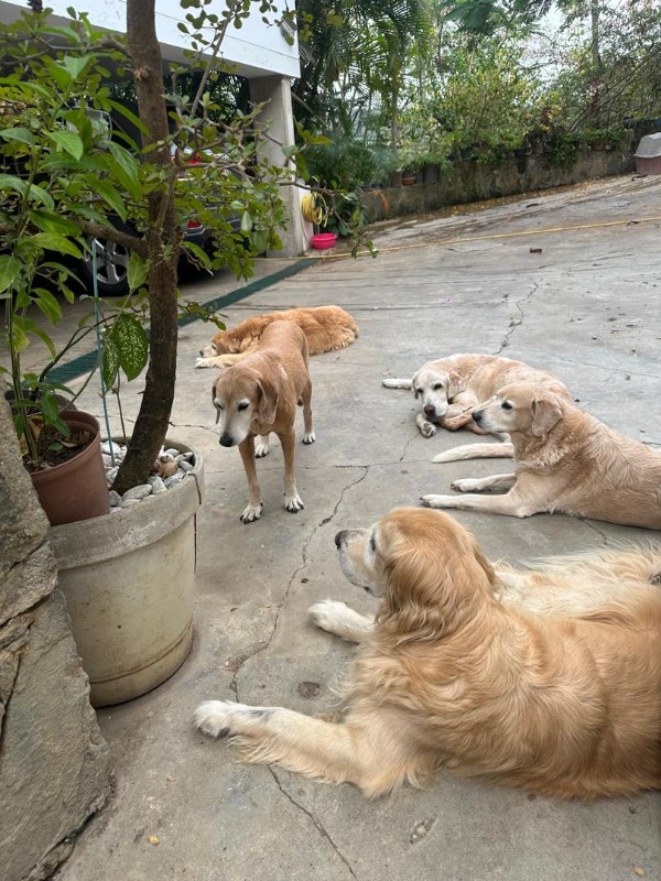 purujit1912 uploaded   2  day/s  ago