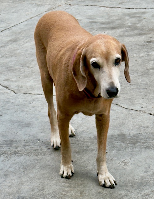 purujit1912 uploaded   1 year/s ago