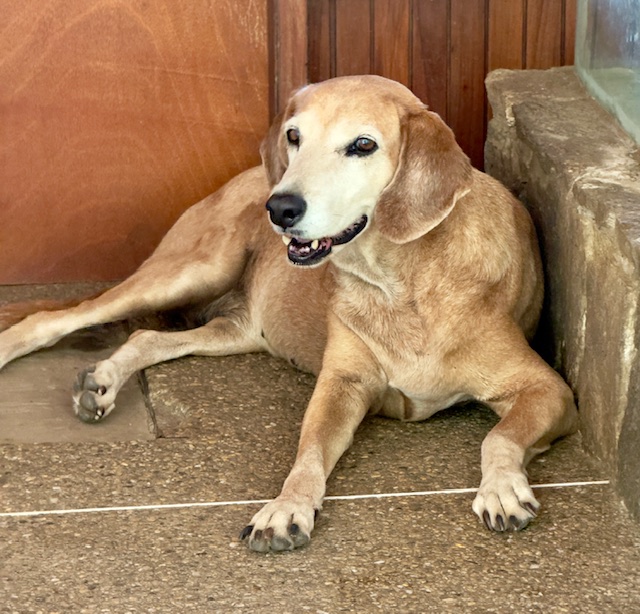 purujit1912 uploaded   317  day/s  ago