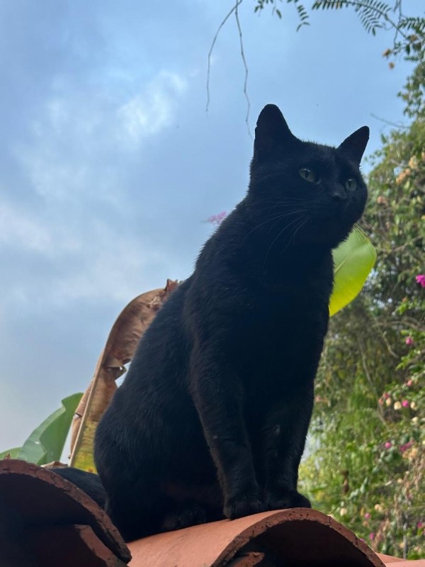 Sundar of the purujit1912 family